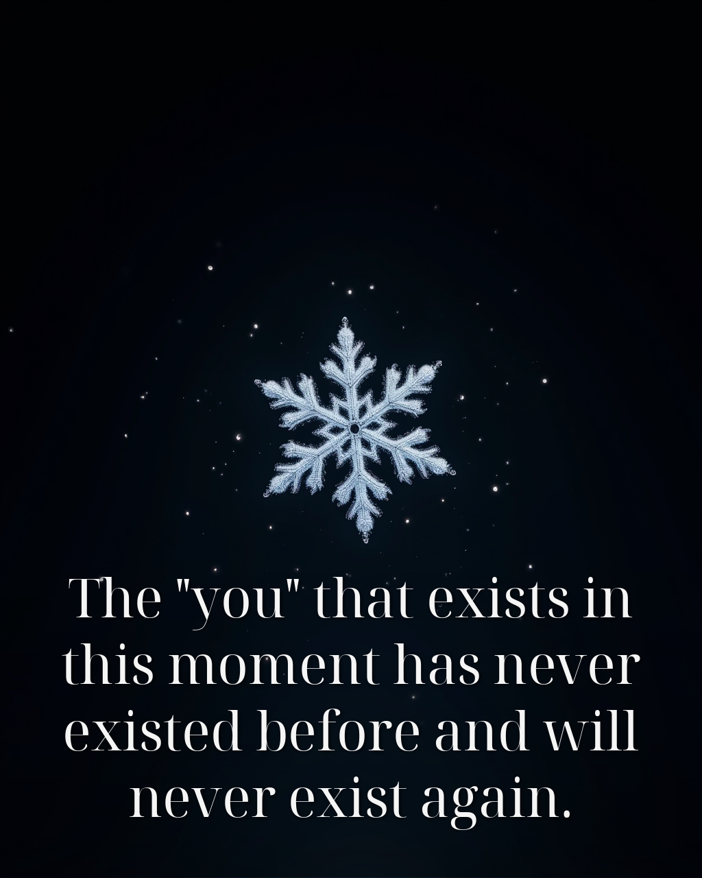 The "you" that exists in this moment has never existed before and will never exist again.