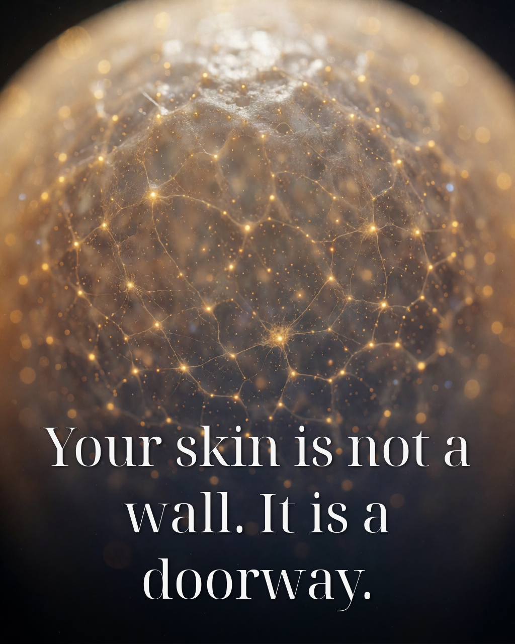 Rather than viewing your skin as a wall dividing you from the outside world, picture it as a conduit that allows you to engage with it.