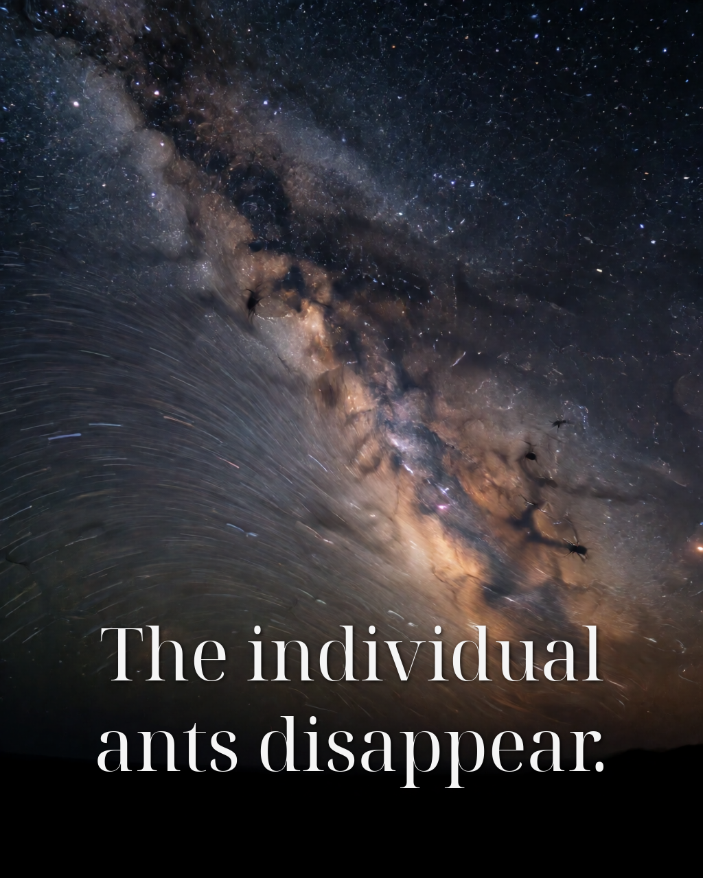 The individual ants disappear.