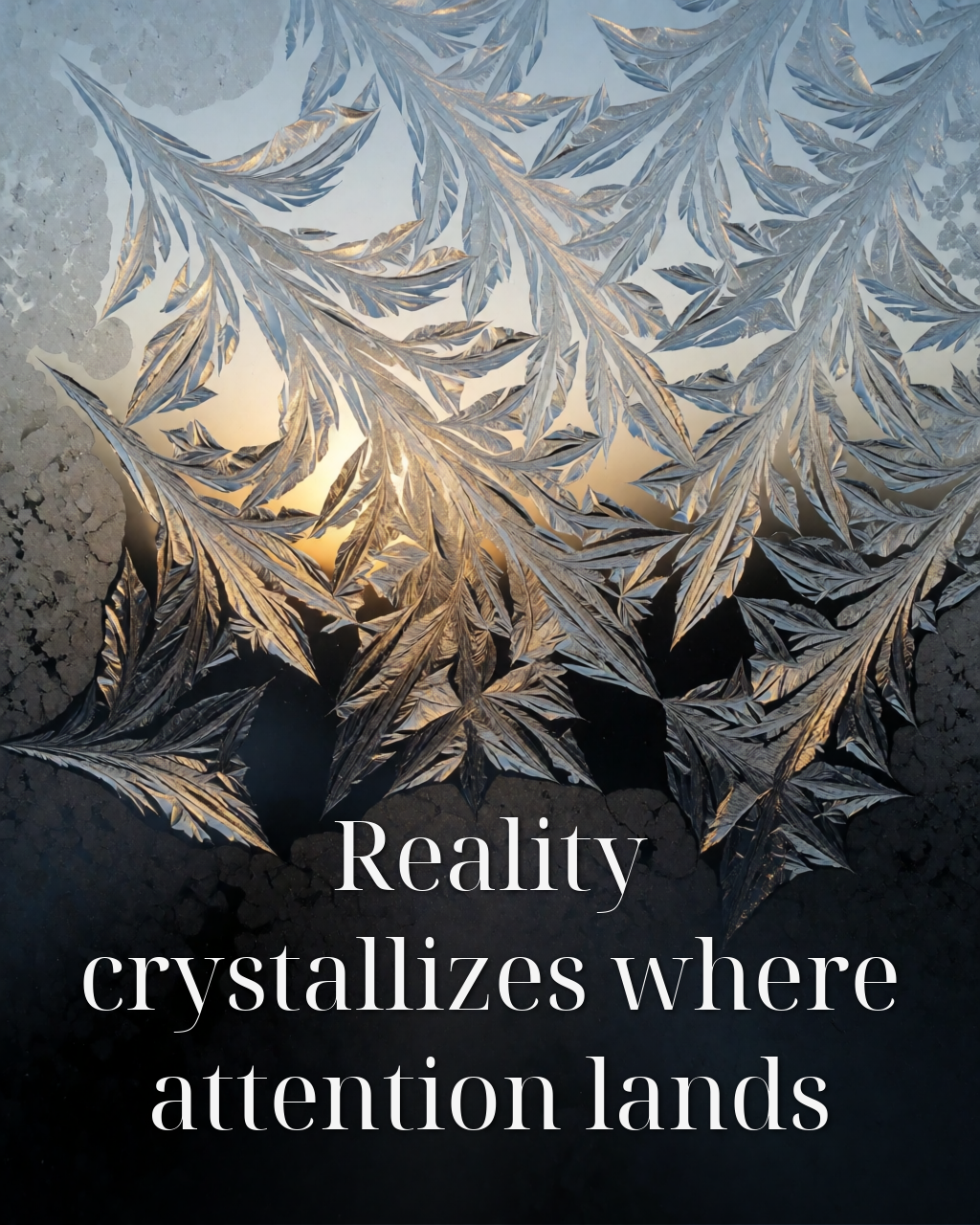 Reality crystallizes where attention lands